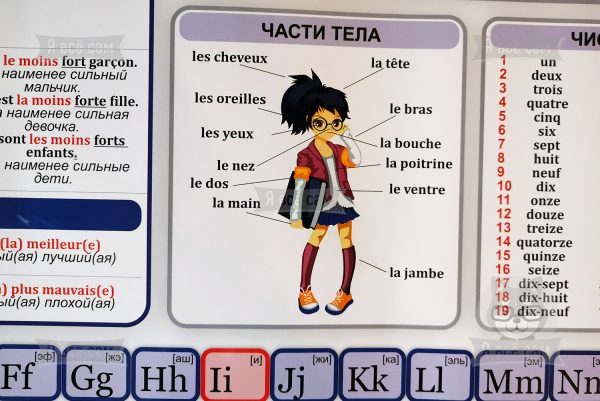 Плакат «Делай уроки сам». Французский язык: начальный уровень